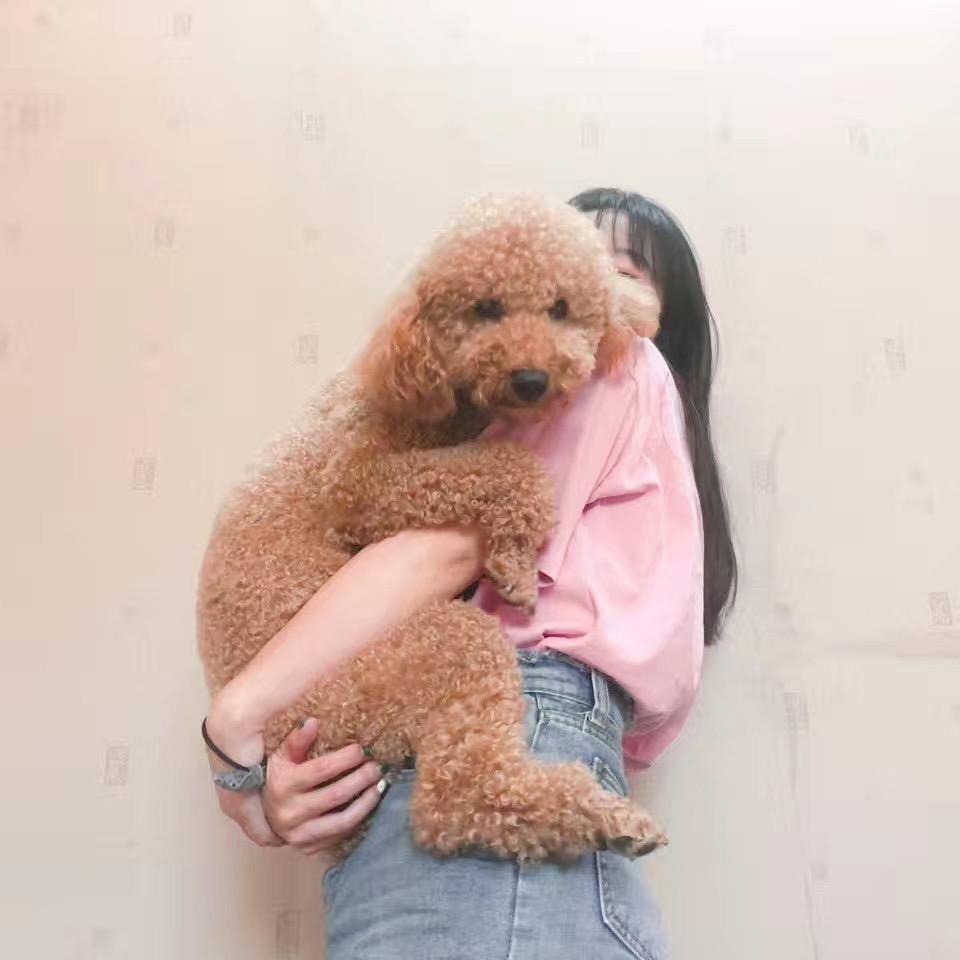 六岁小桃酥