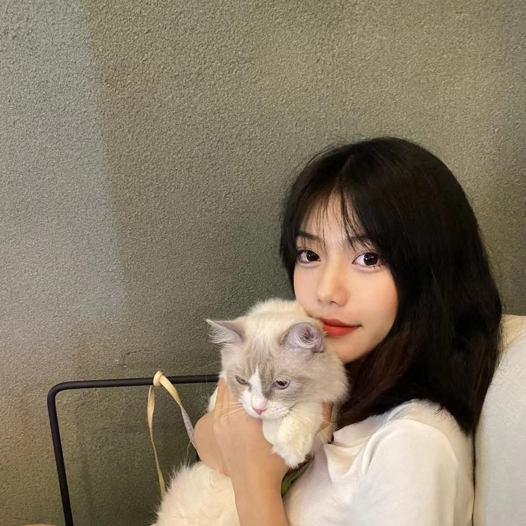小菊猫🌼