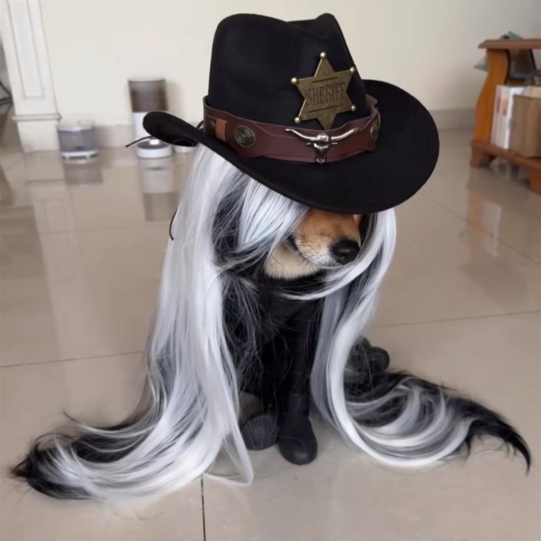 木有鱼丸木有粗面