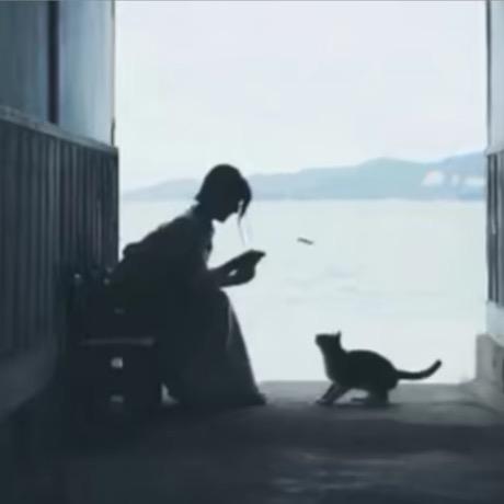 菜奈斯