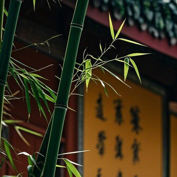 善缘居士