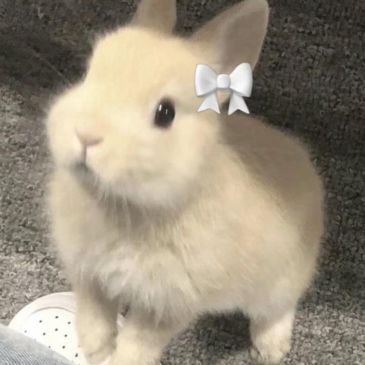 小小小小小.