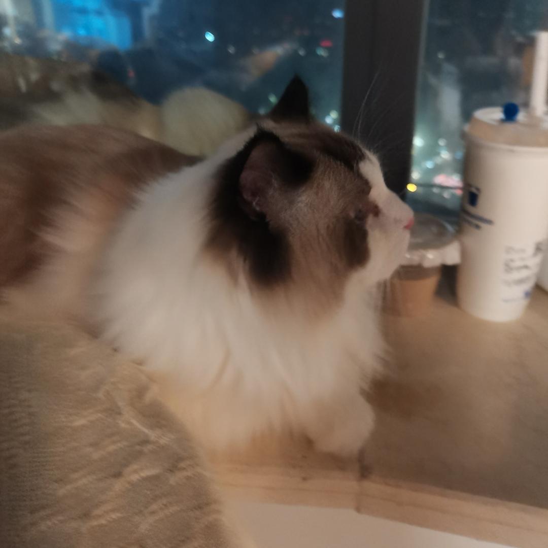抒颖