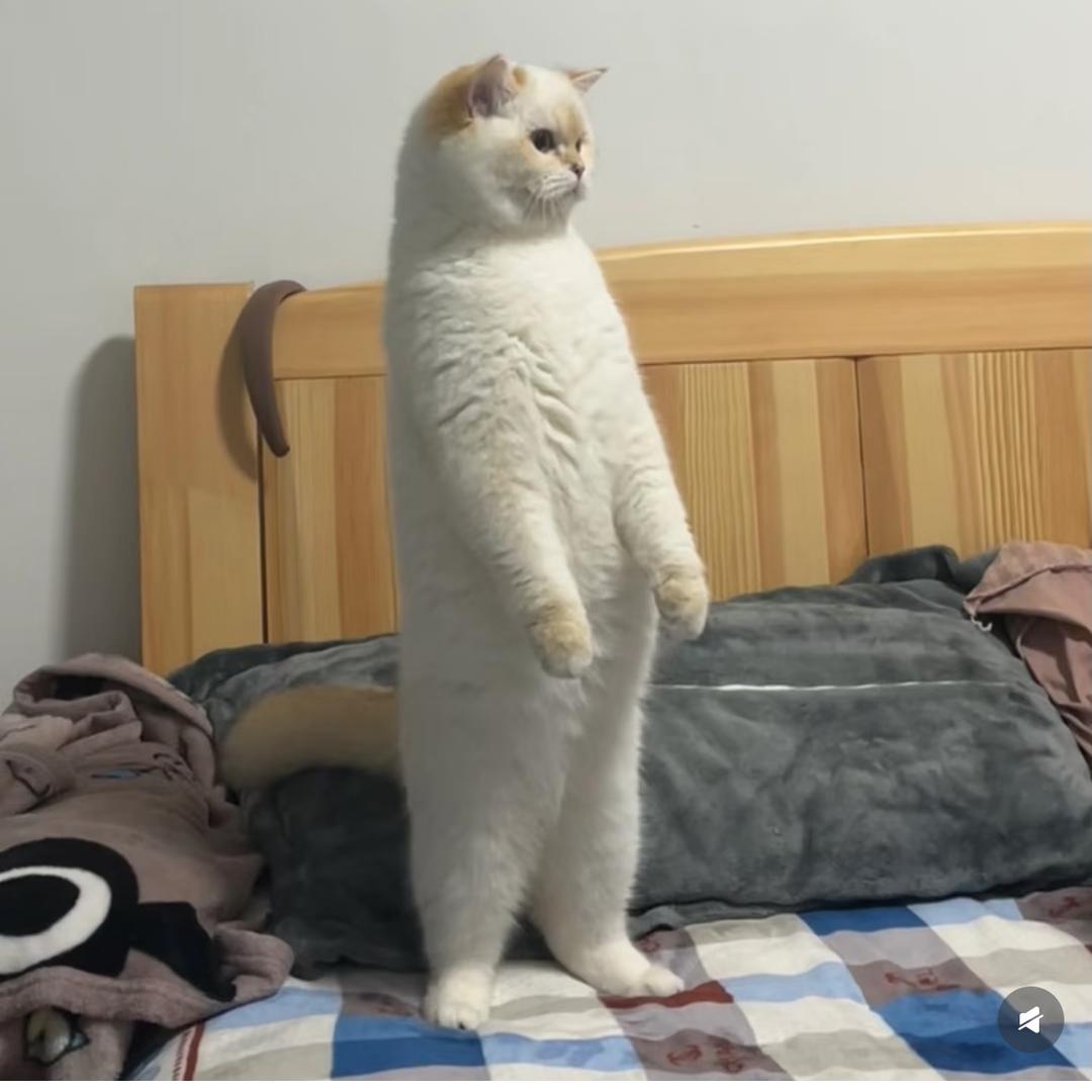 123