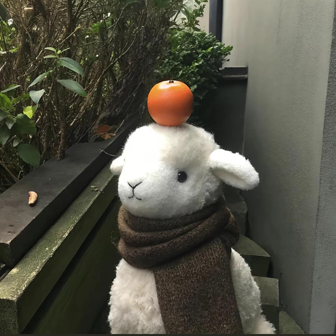 小羊不吃香菜.🐑