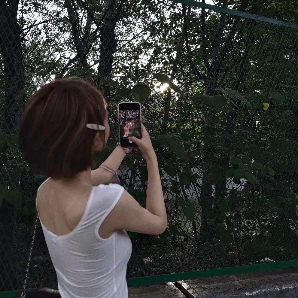 蛋