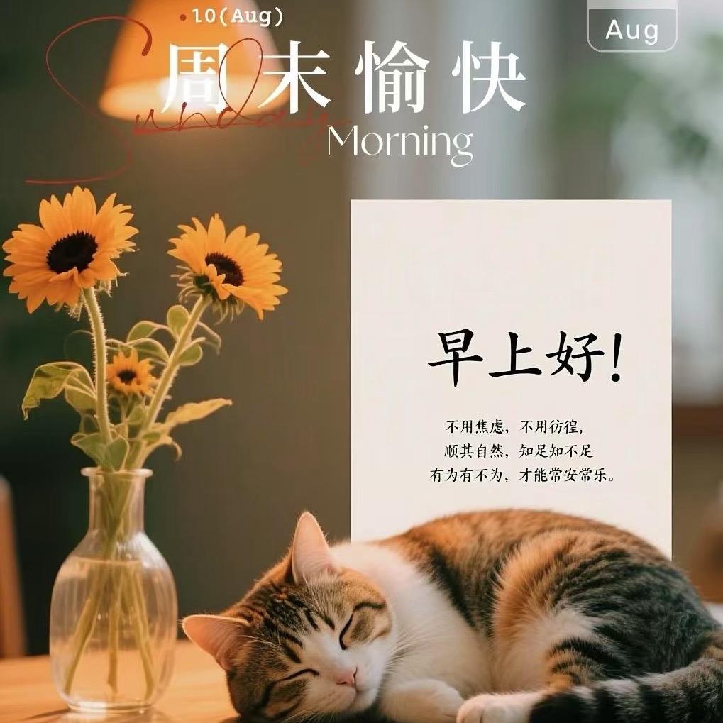 🐭拉拉～🐻‍❄️