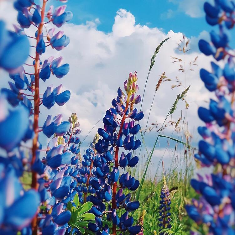 欧阳凯莉