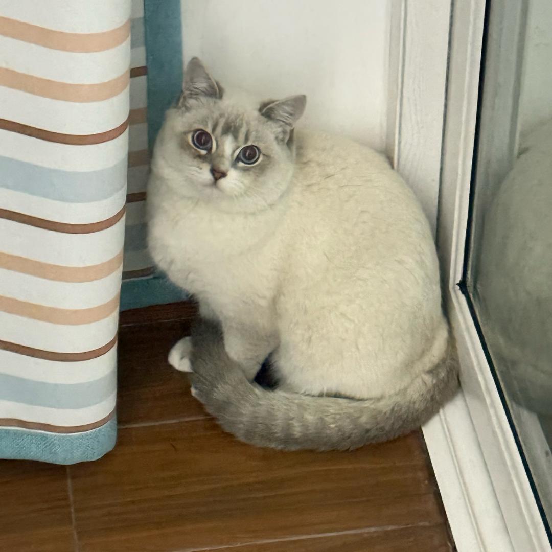 可乐.