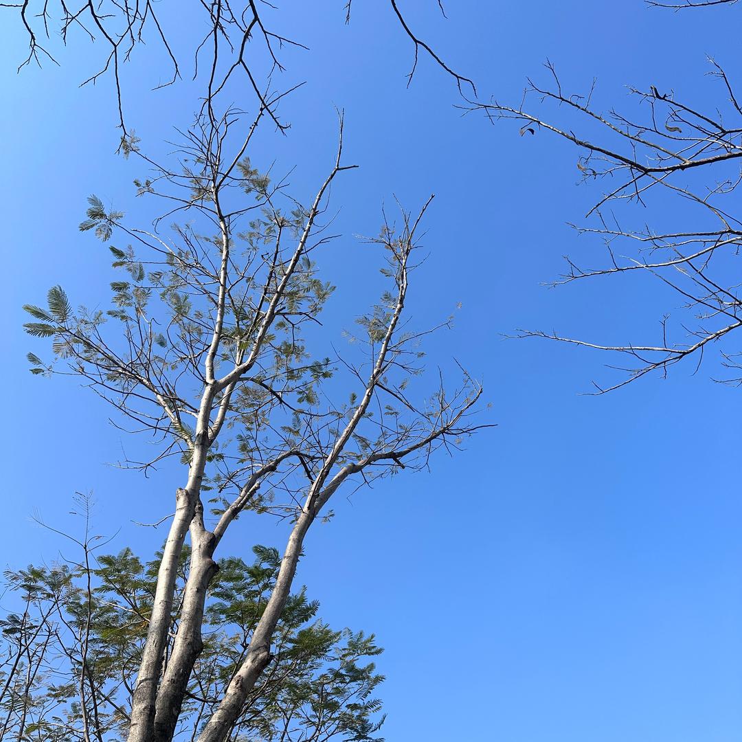 中海云启源境苏琳