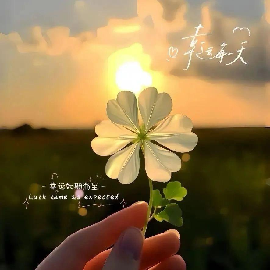 浅笑安然