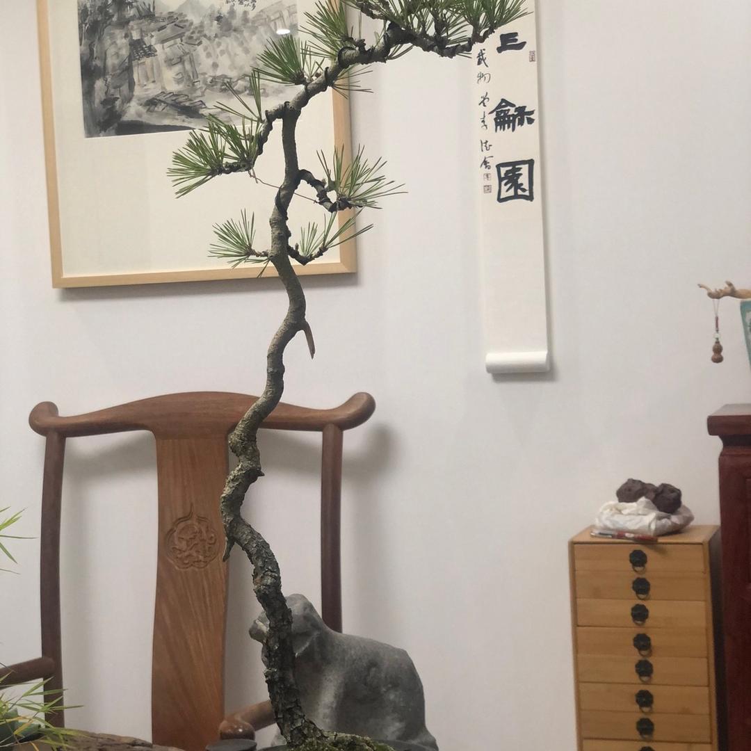 三和园