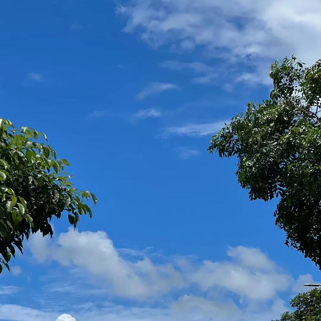 玲玲