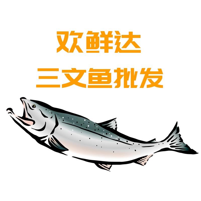 欢鲜达三文鱼贸易