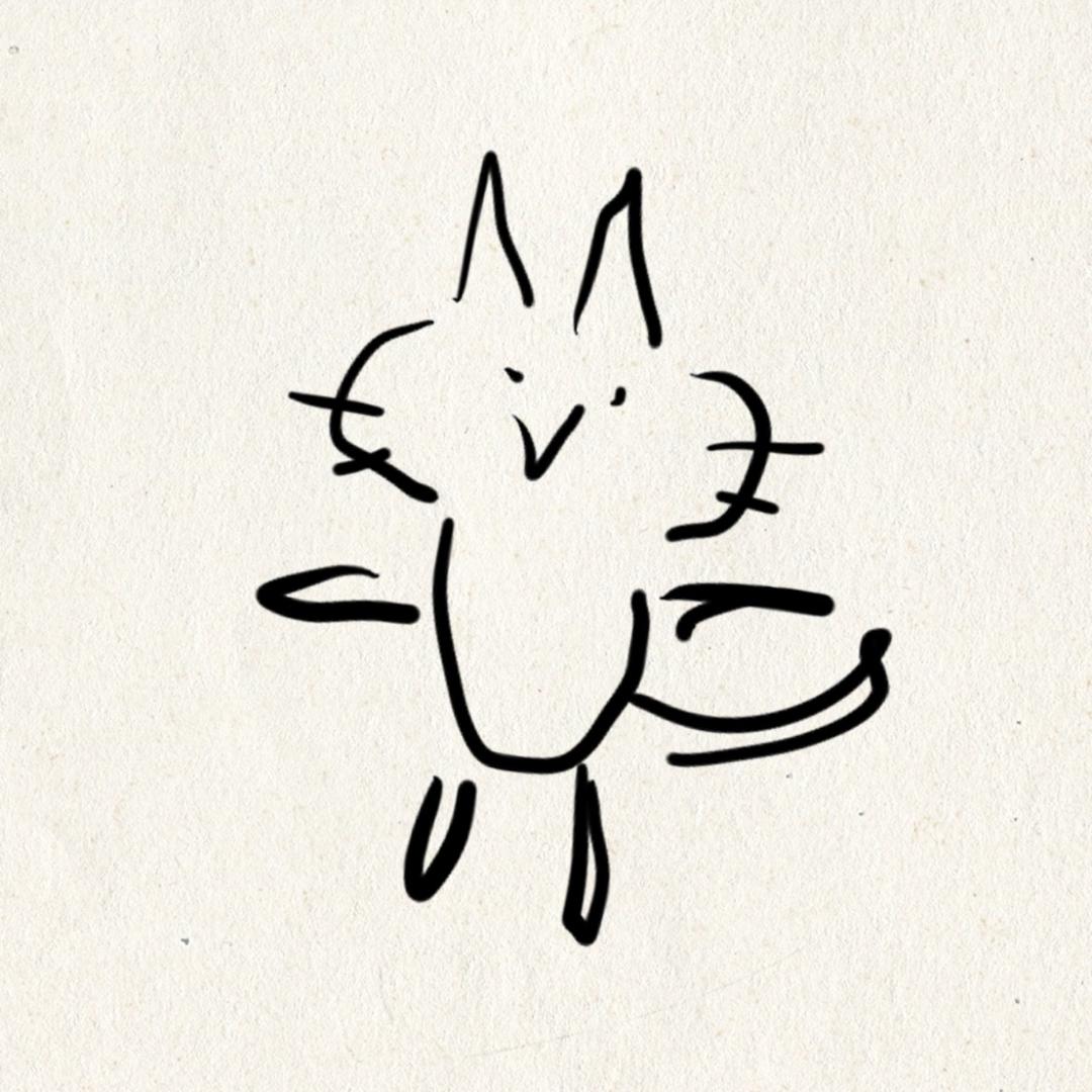 芝芝龙狸