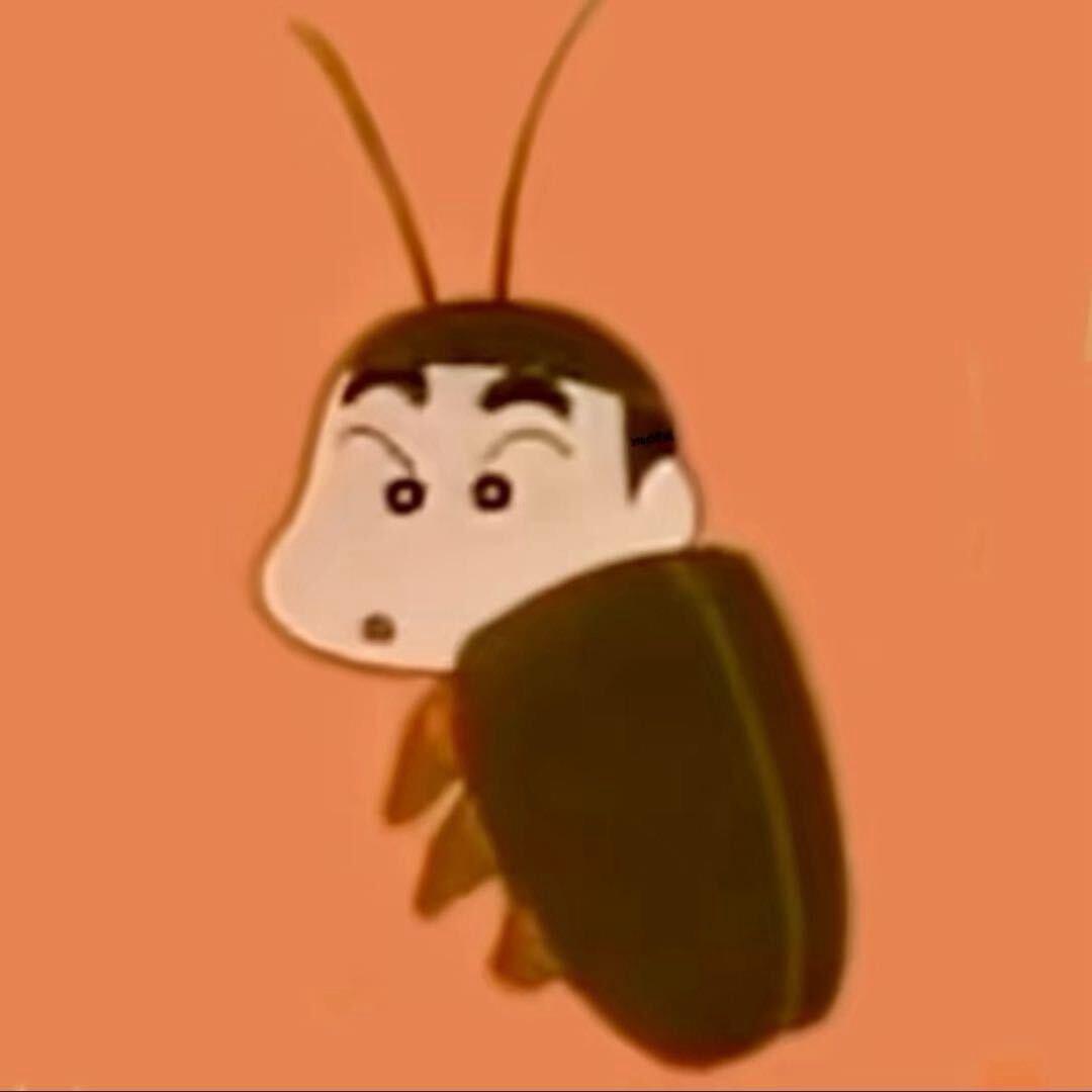 新之螂