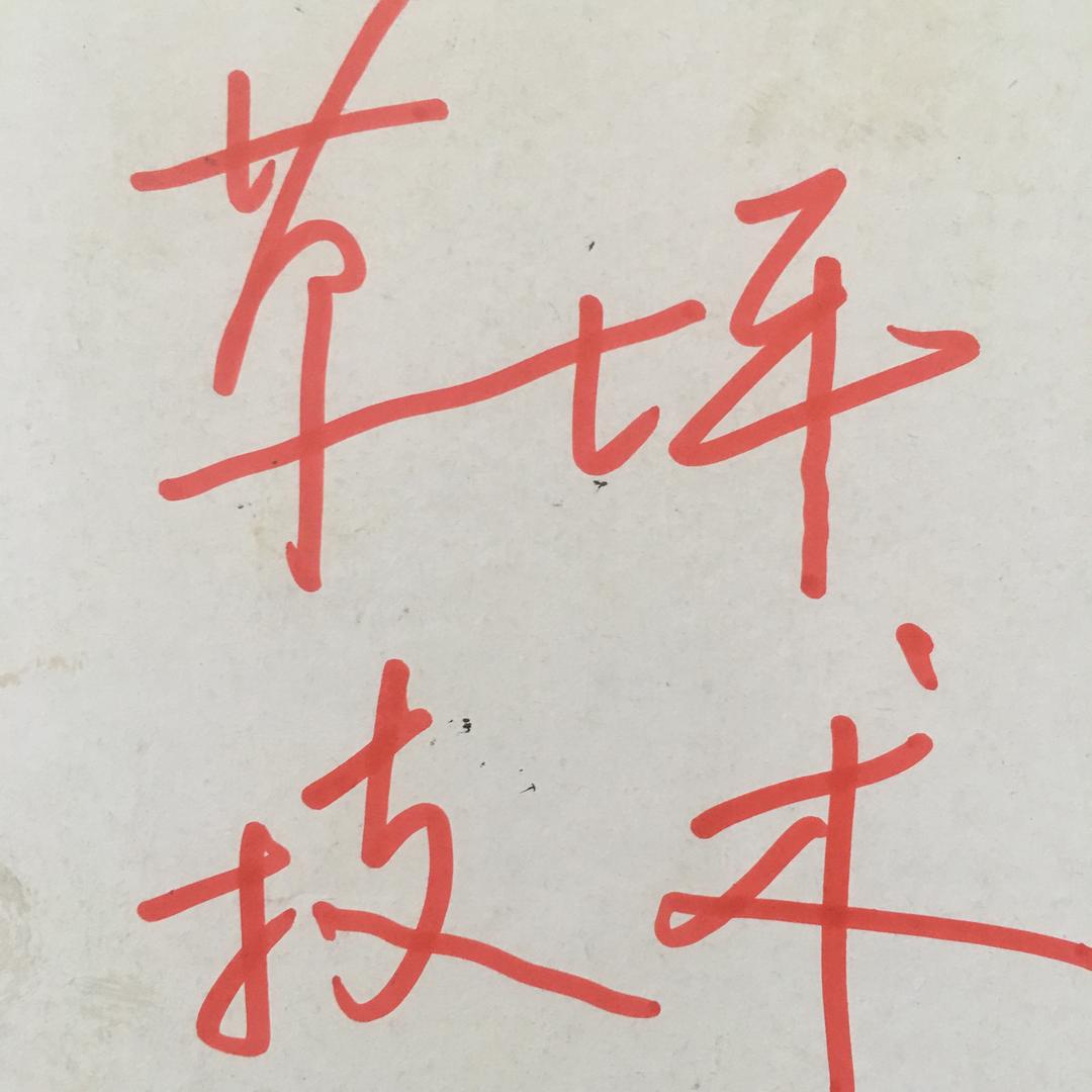 北京姜双春草坪种植园