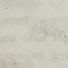 天天开心！！！