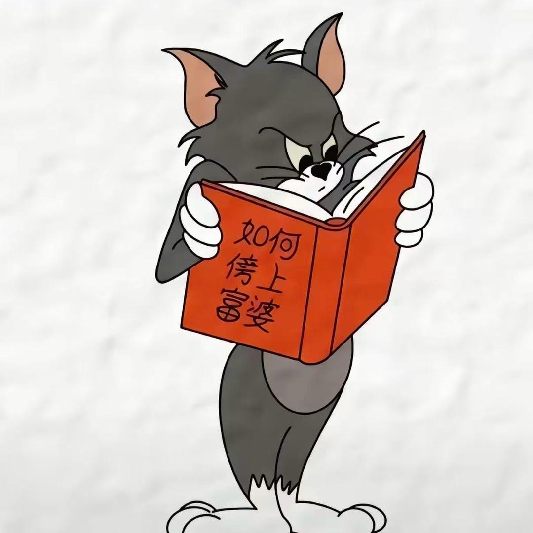 一个刺客