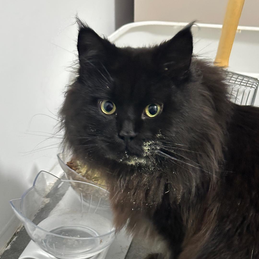 小宠推荐官☑️