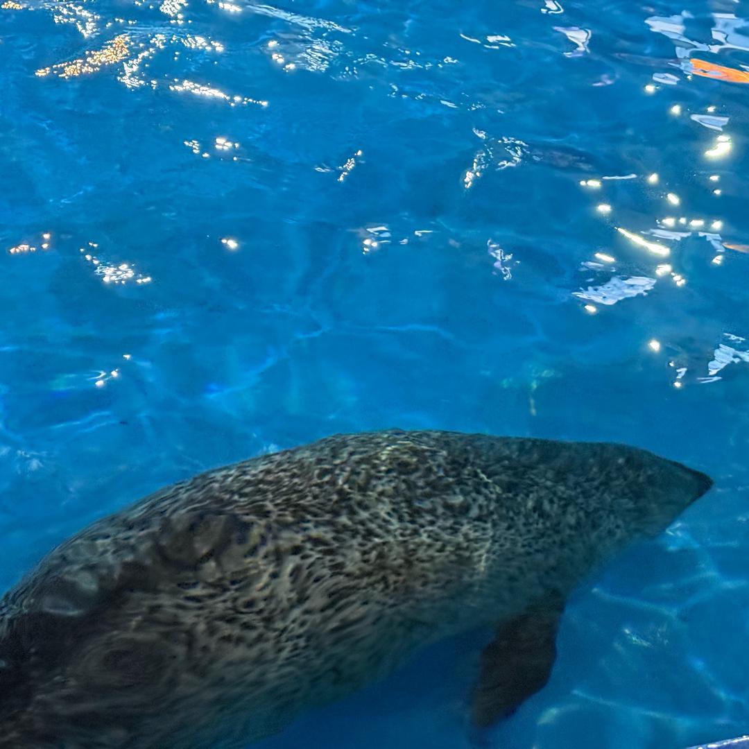 重庆龙门镇火锅