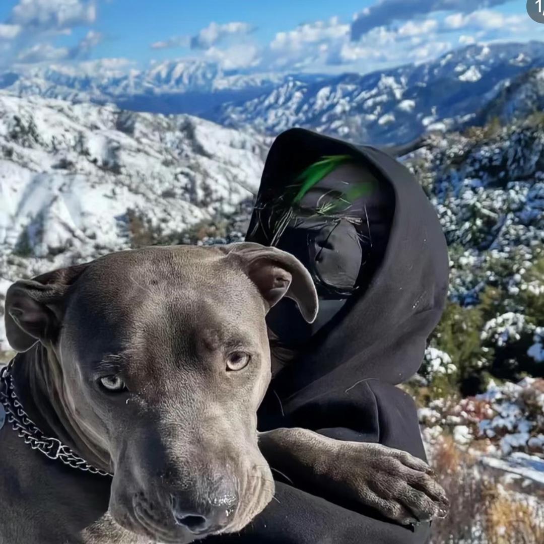 zzzqg