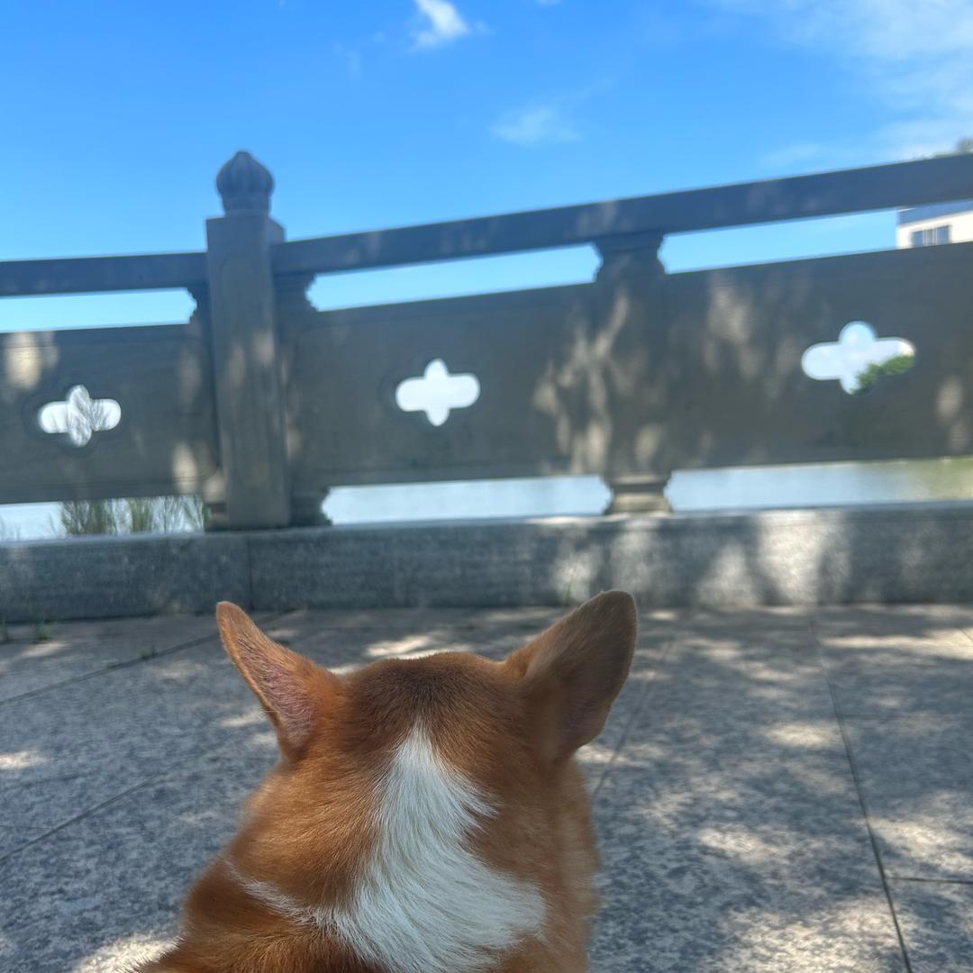 🧊一杯斋啡🧊