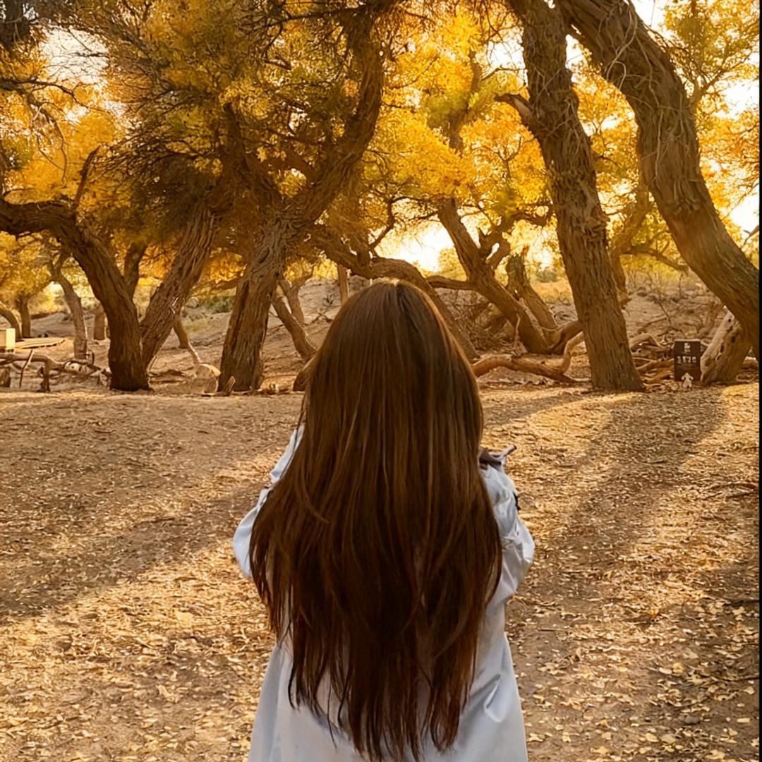 阿铉旅行日记✈️