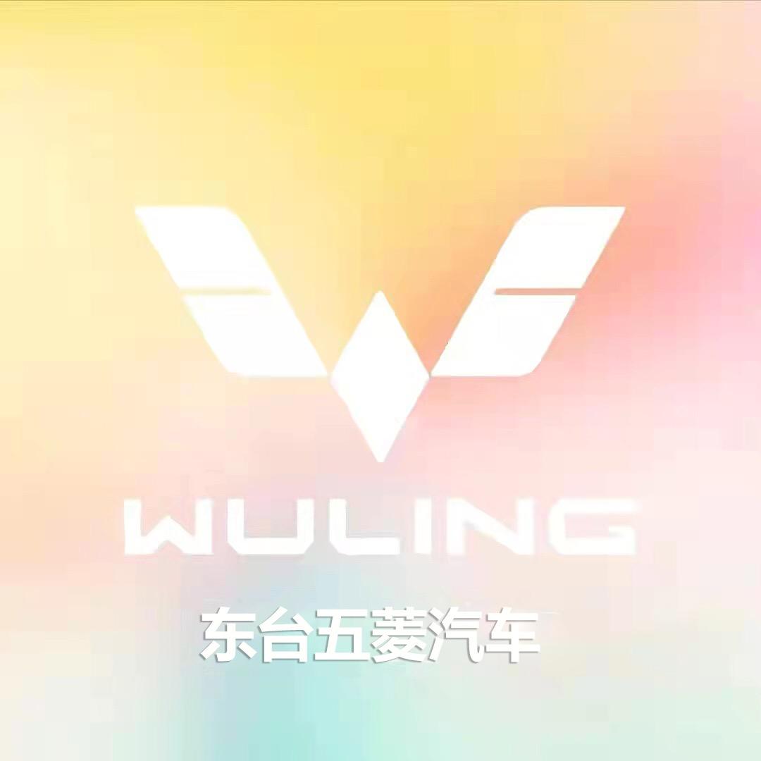 东台五菱汽车
