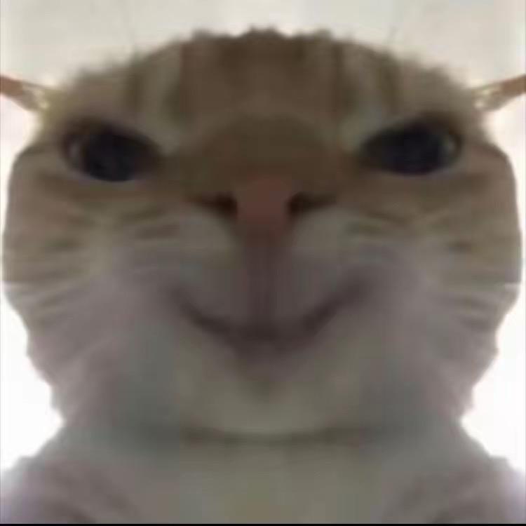小虎