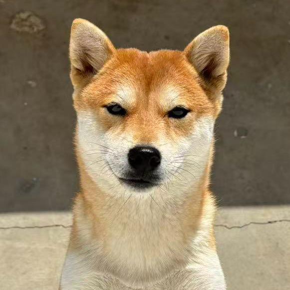 开开心心每一天