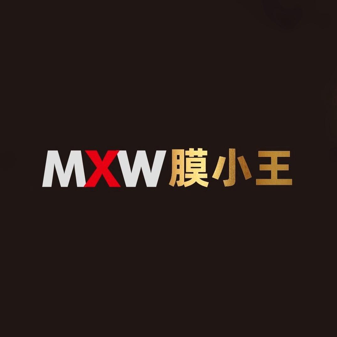 膜小王隐形车衣