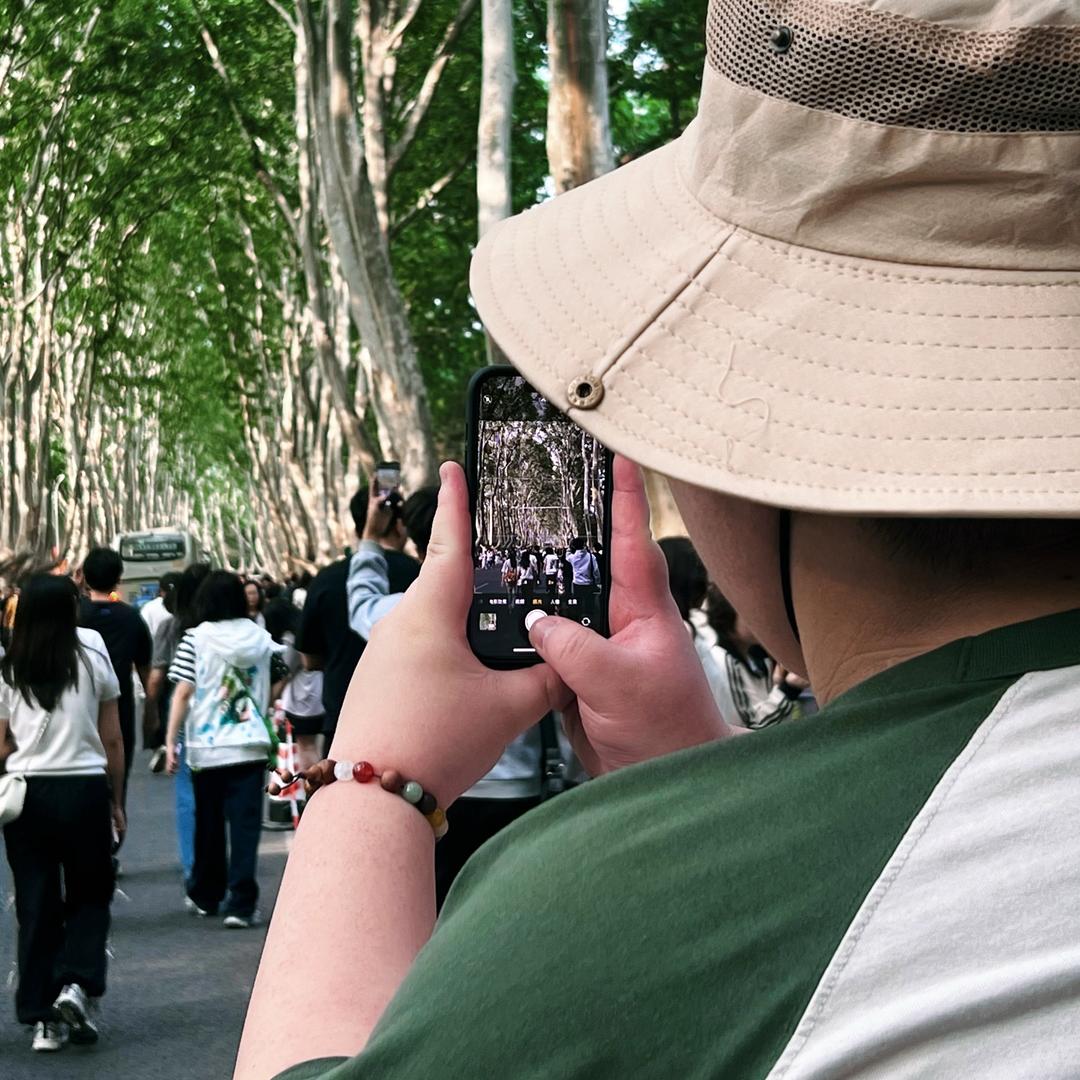 叫我楼歪歪