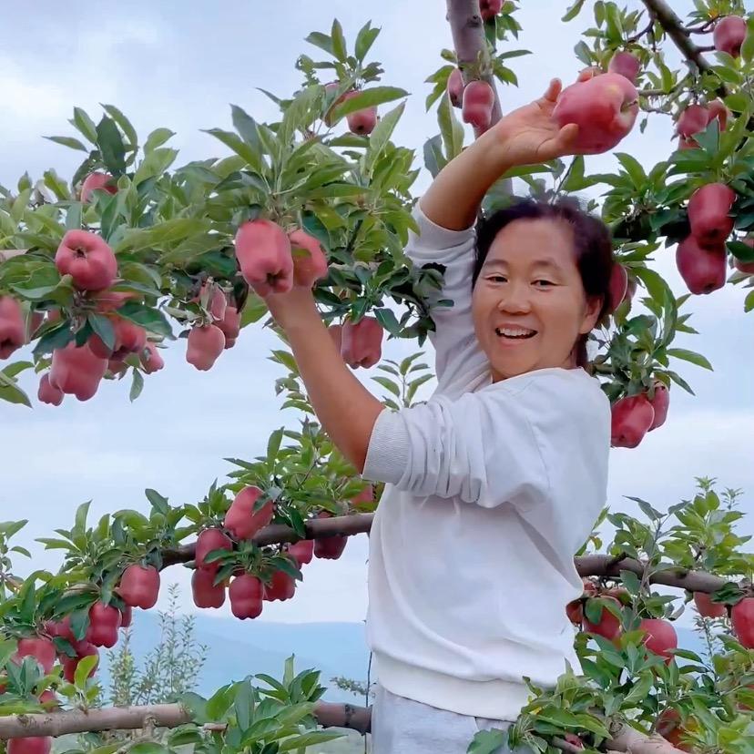 新中源水果商行