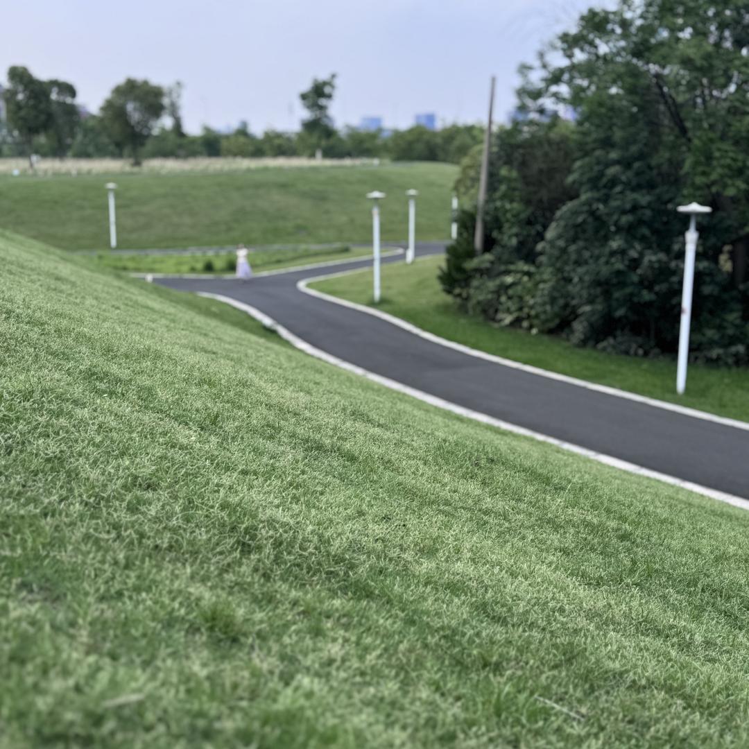 高叻高