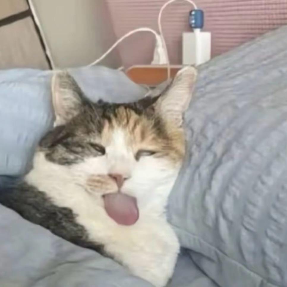 卷柏