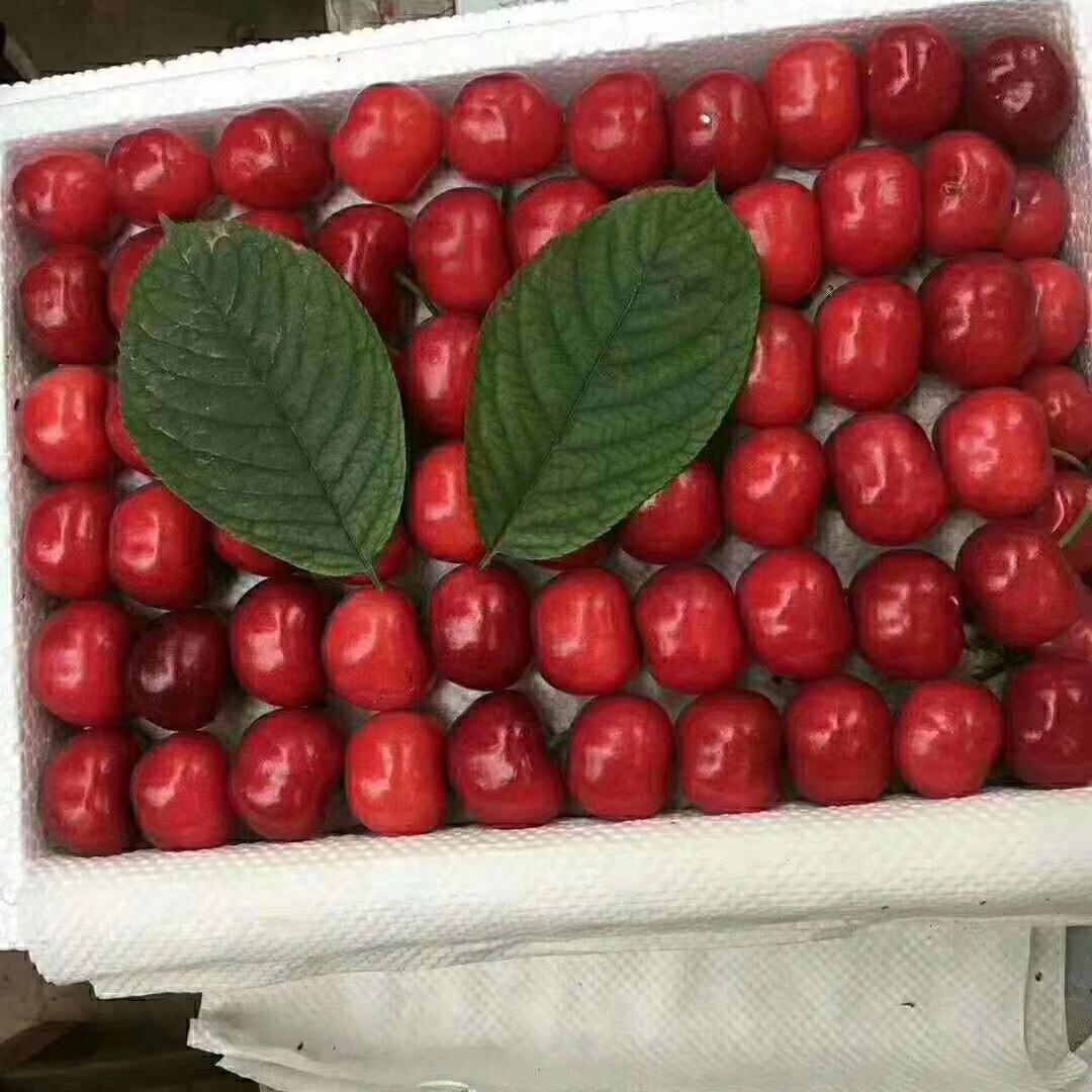 明天的太阳@_@