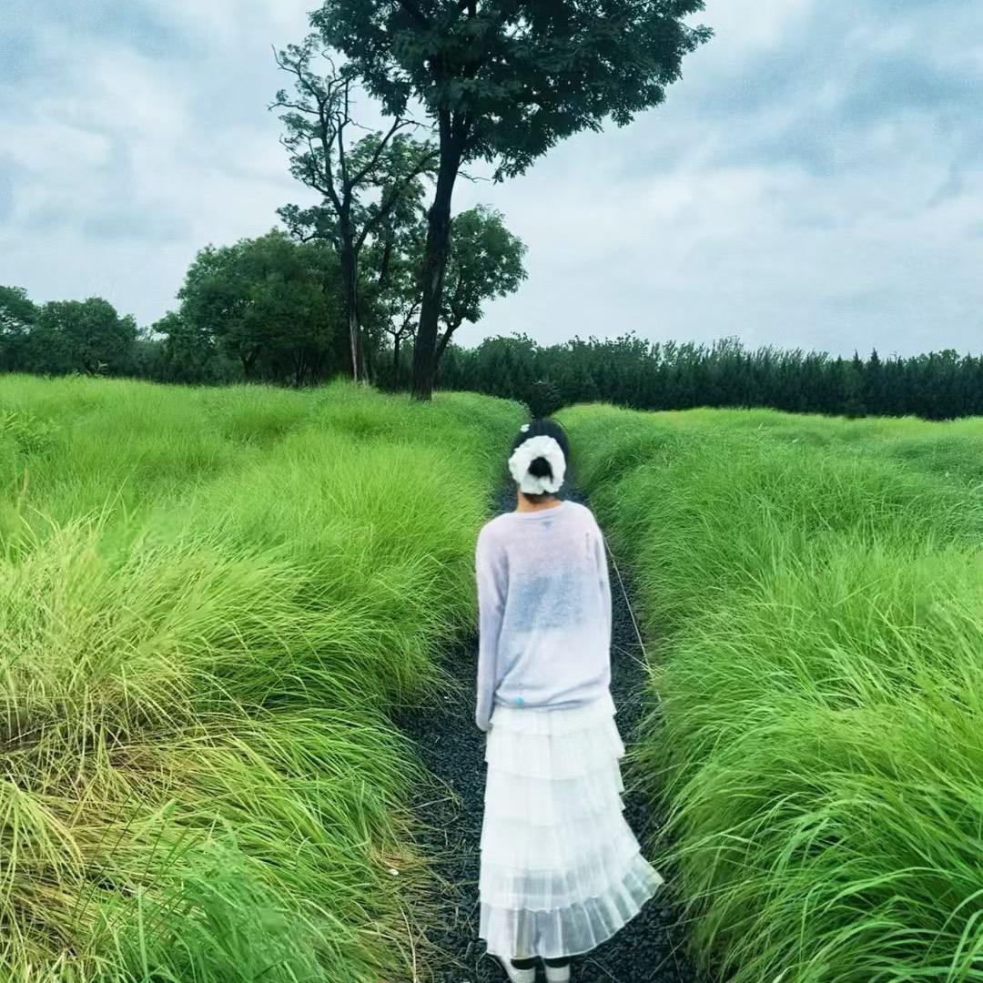 远方y