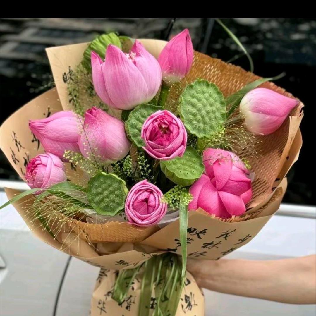 🥀美好的时光এ᭄