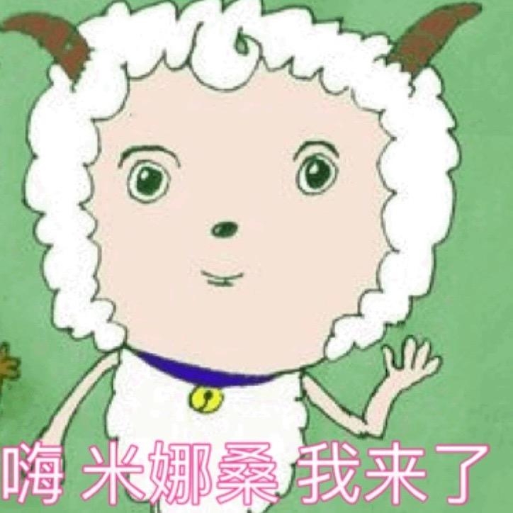 青梗菜菜子