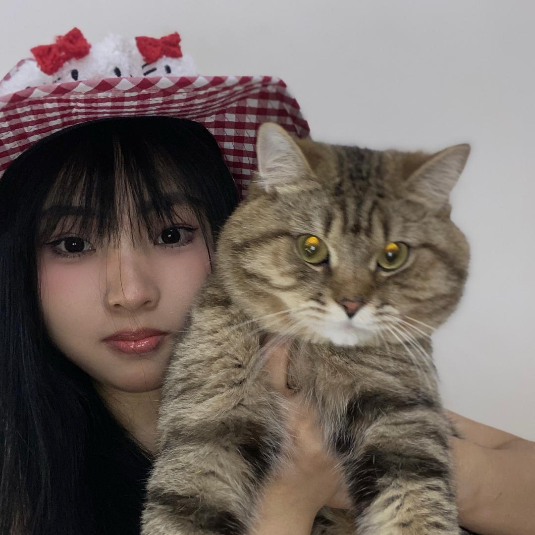 溪宝diy