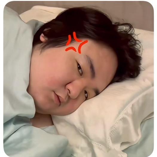 清风拂袖花海