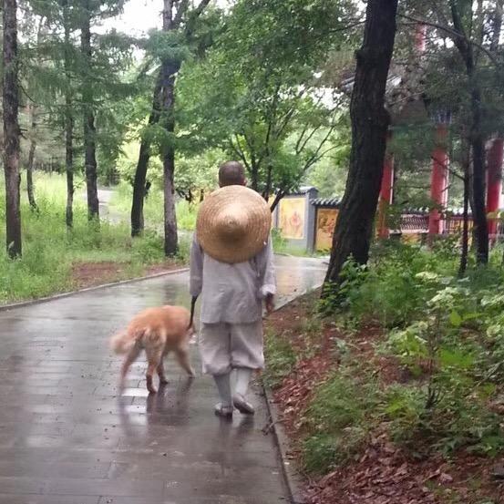 思然（渡我这红尘万千劫）