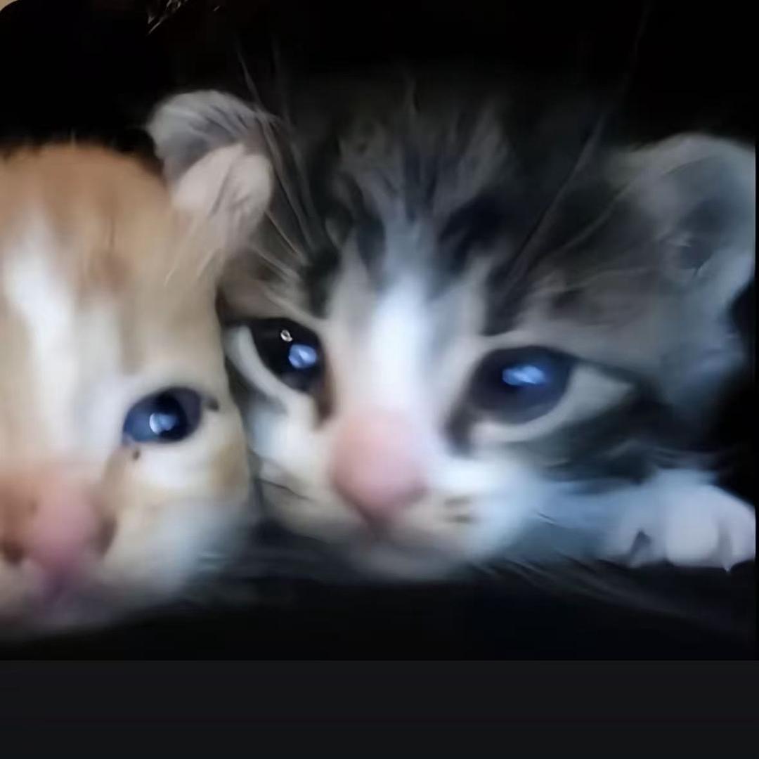 ruuii