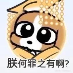 九月_Tsuki🌙（不关注少管我）