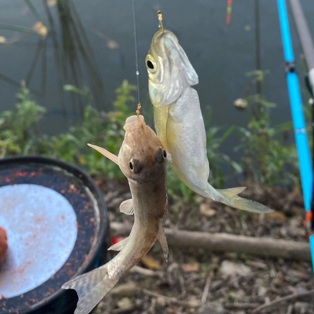 爱上钓鱼的Friday👨‍👩‍👦
