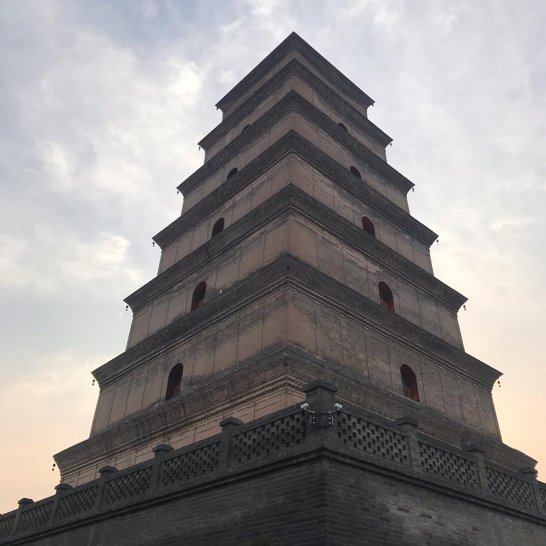 Yang。