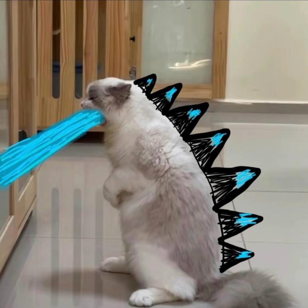 幻听丶