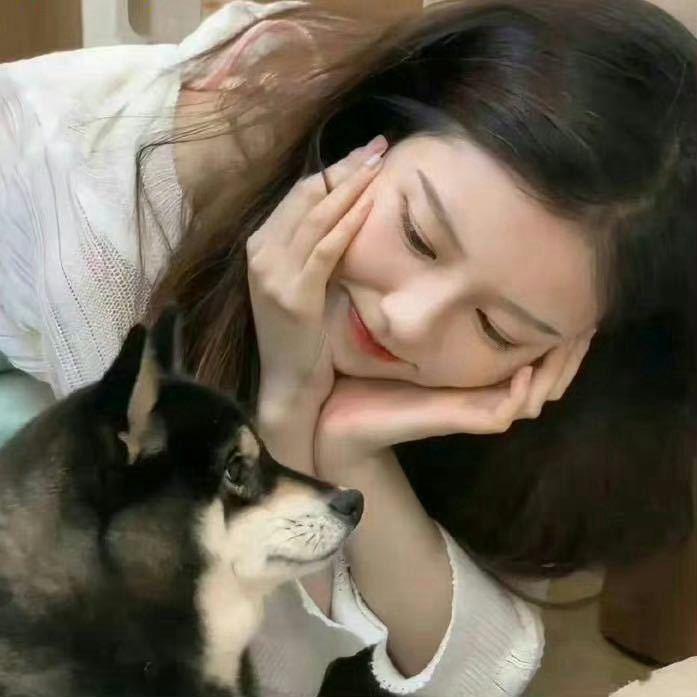 苍术