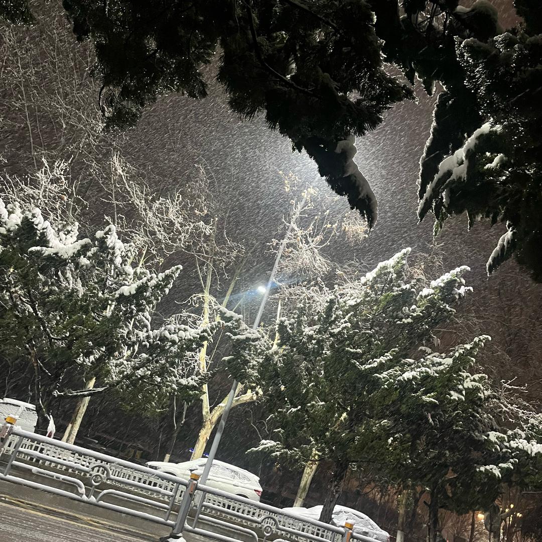 小马官方8号